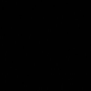 Meet your Posher, Garyann